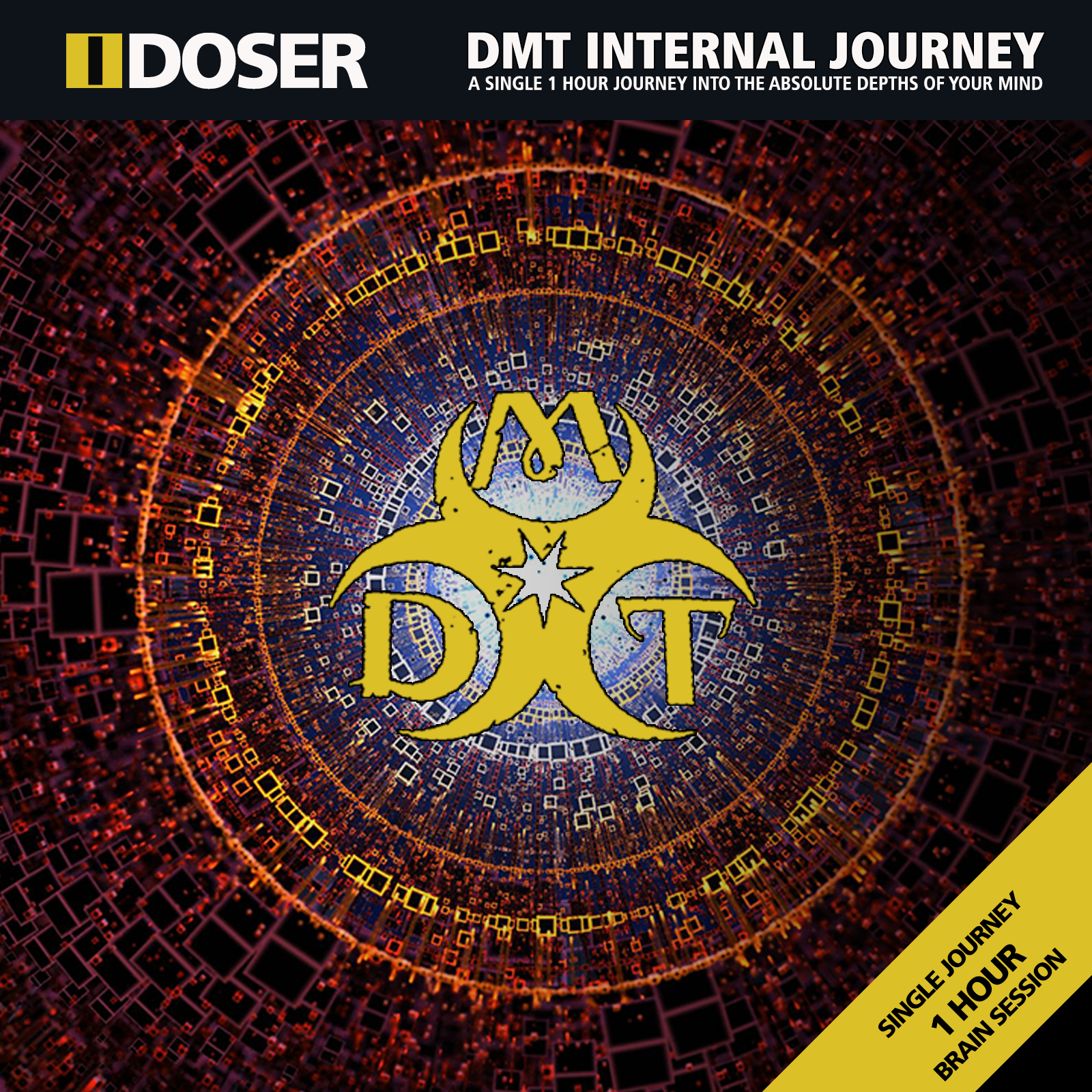 DMT Internal Journey