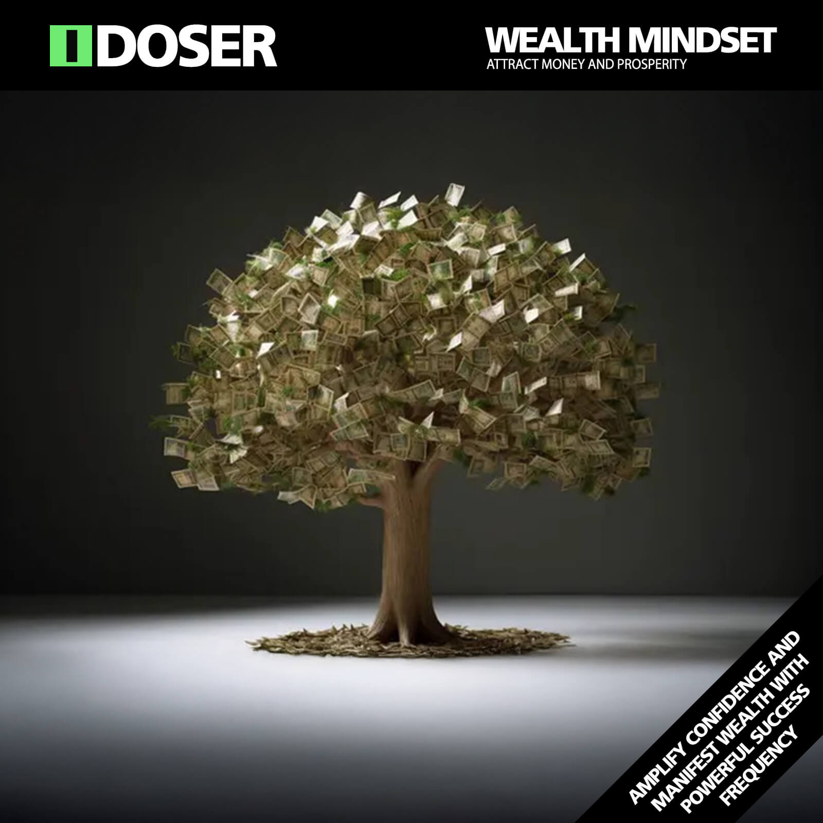 Manifest Wealth Mindset Manifest Wealth Mindset
