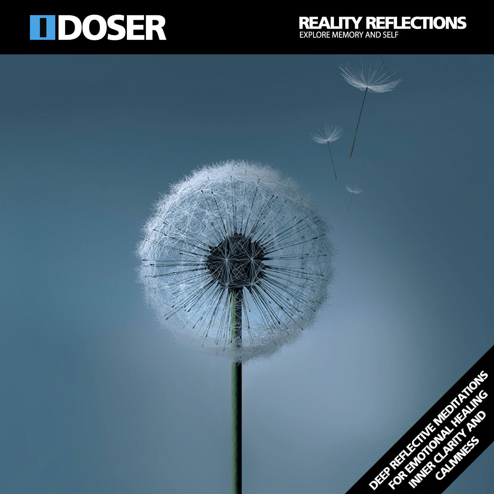 Reality Reflection Meditations Reality Reflection Meditations